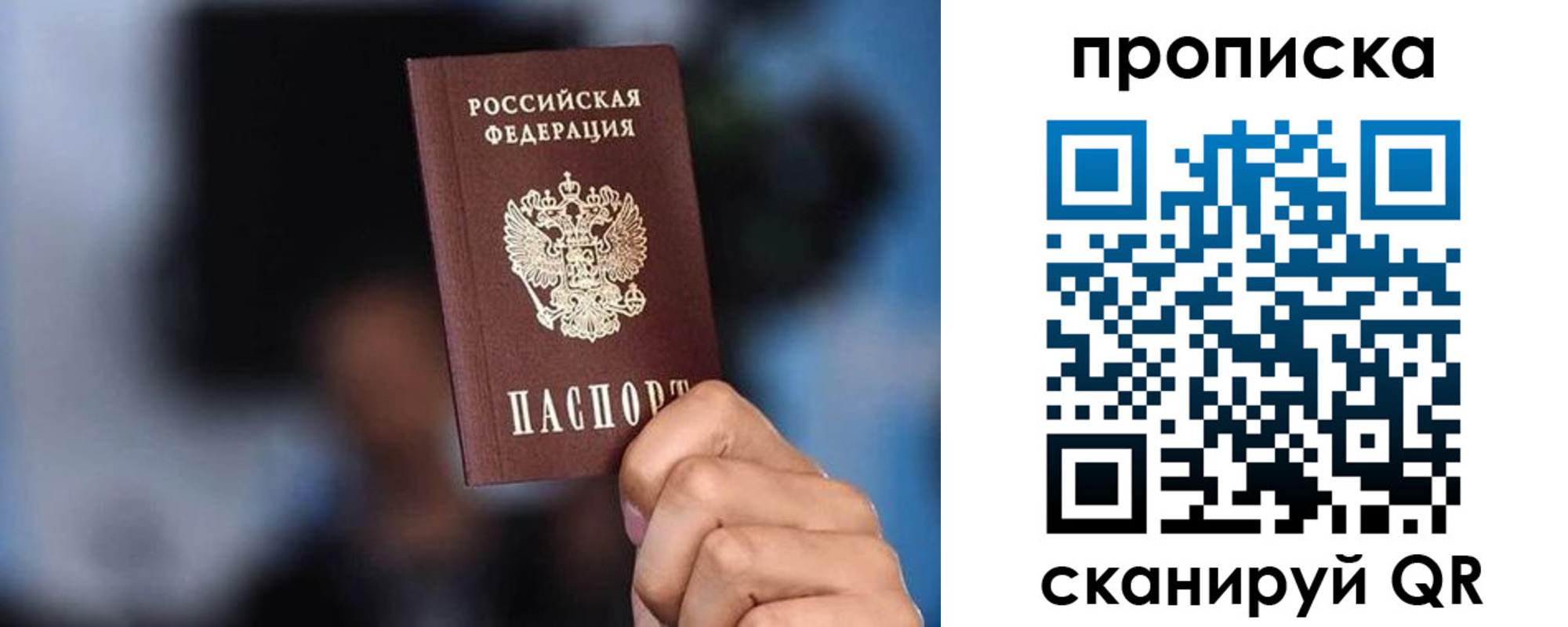 прописка законно в Светлограде
